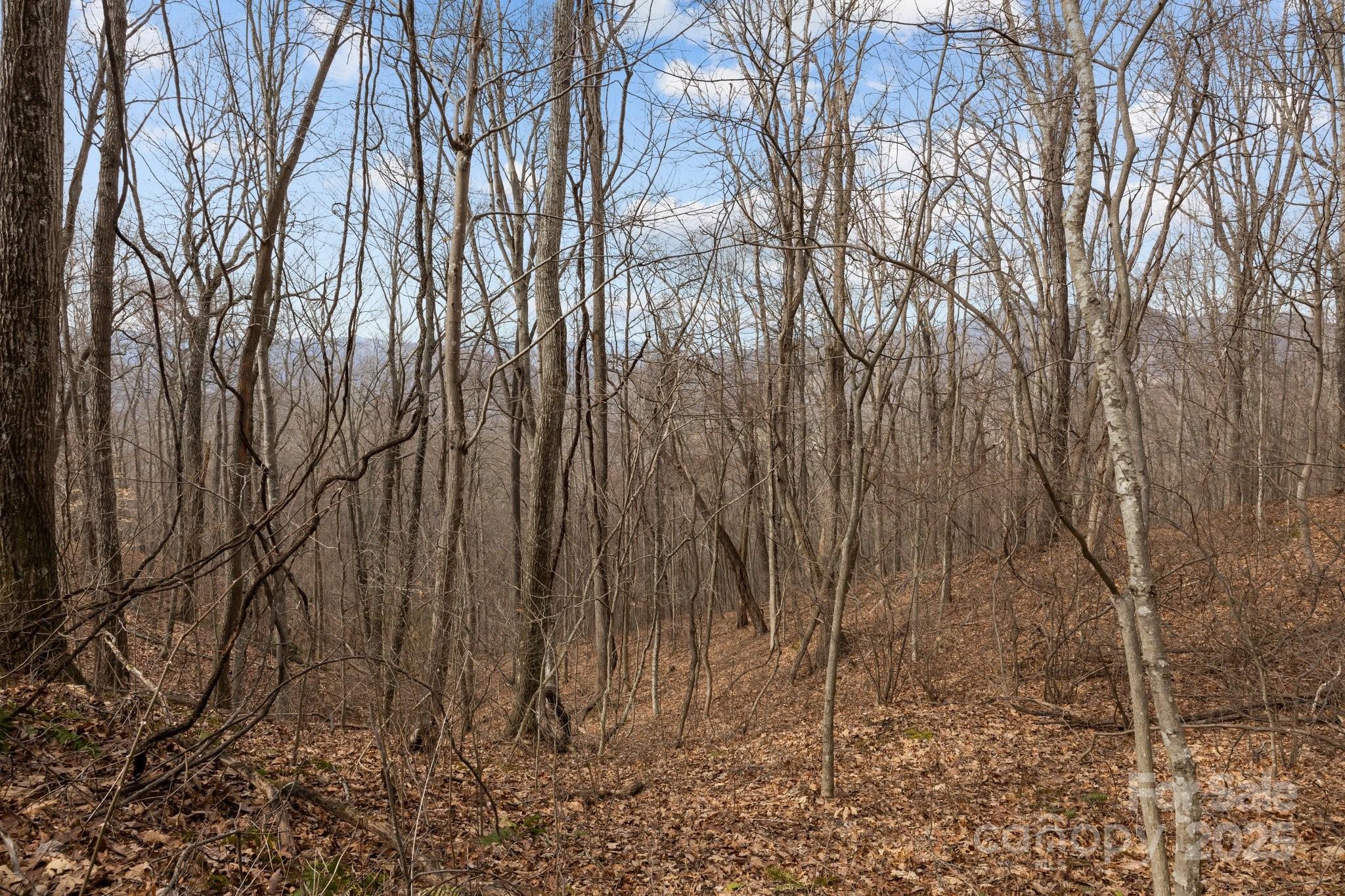 00 Haynes Cove Road Property Photo 11