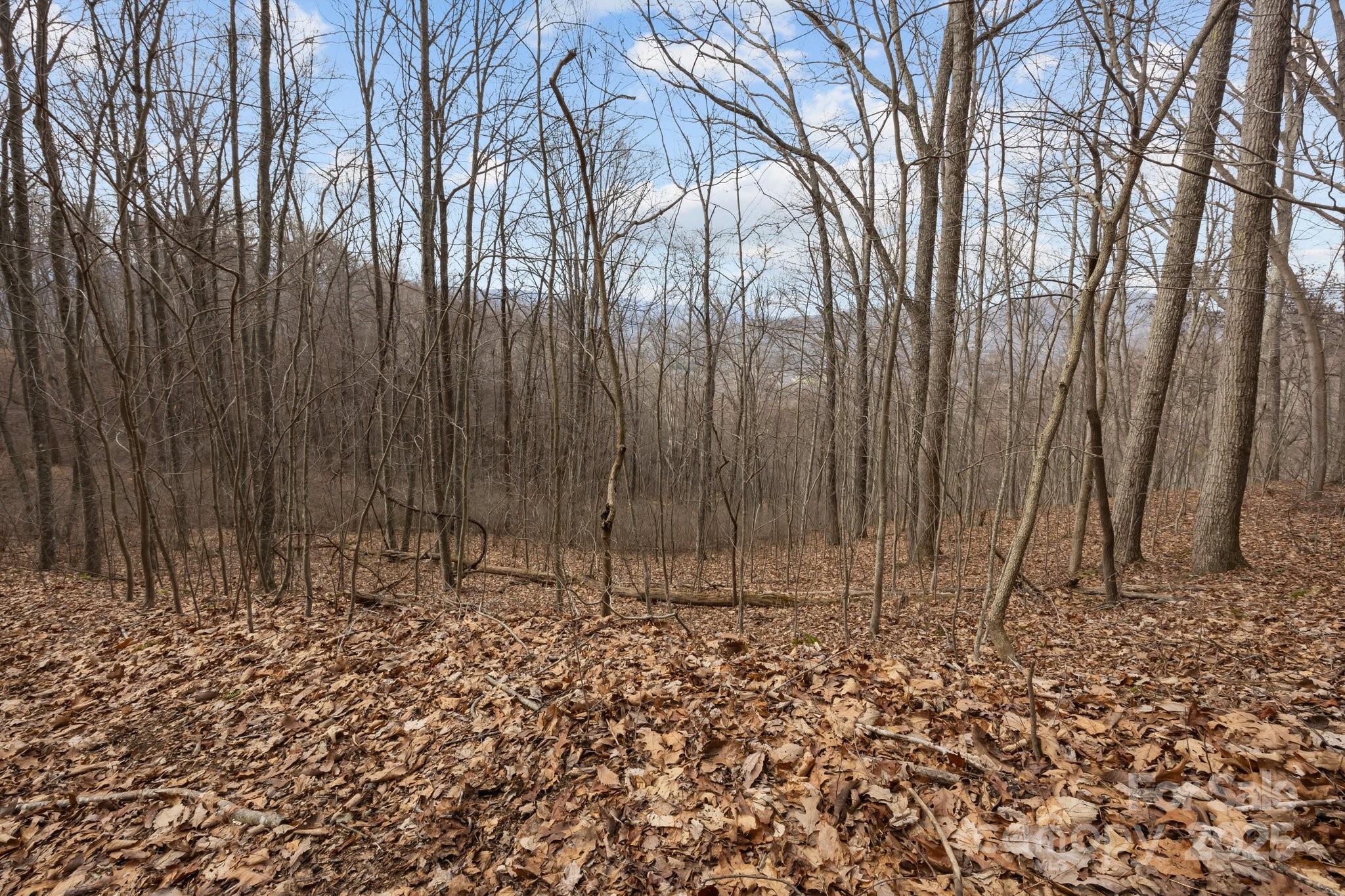 00 Haynes Cove Road Property Photo 12