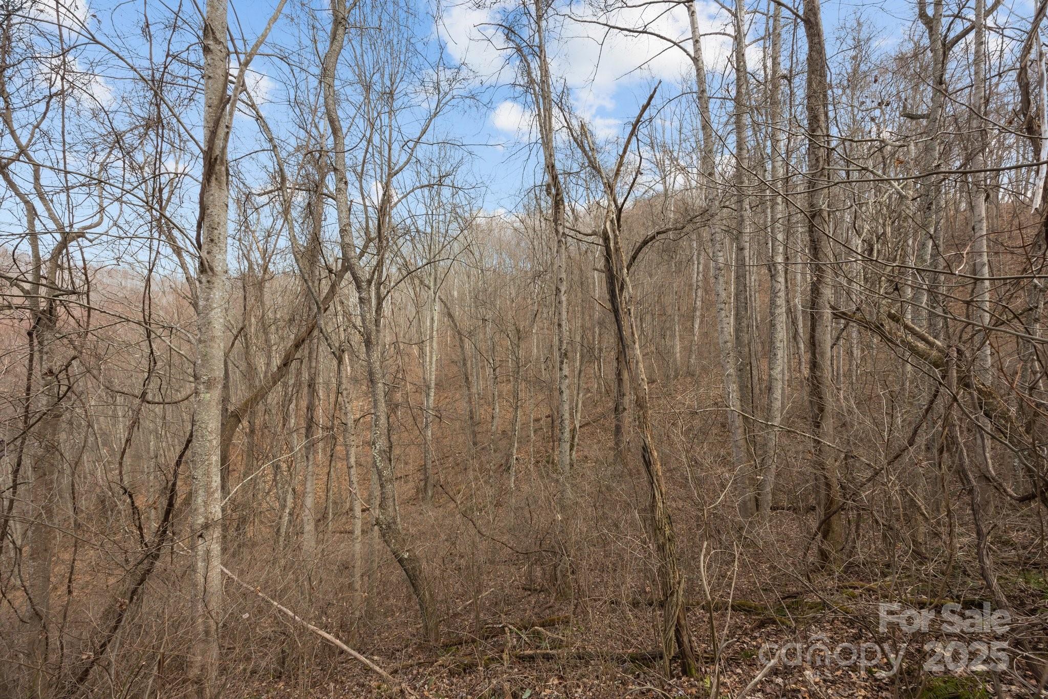 00 Haynes Cove Road Property Photo 13
