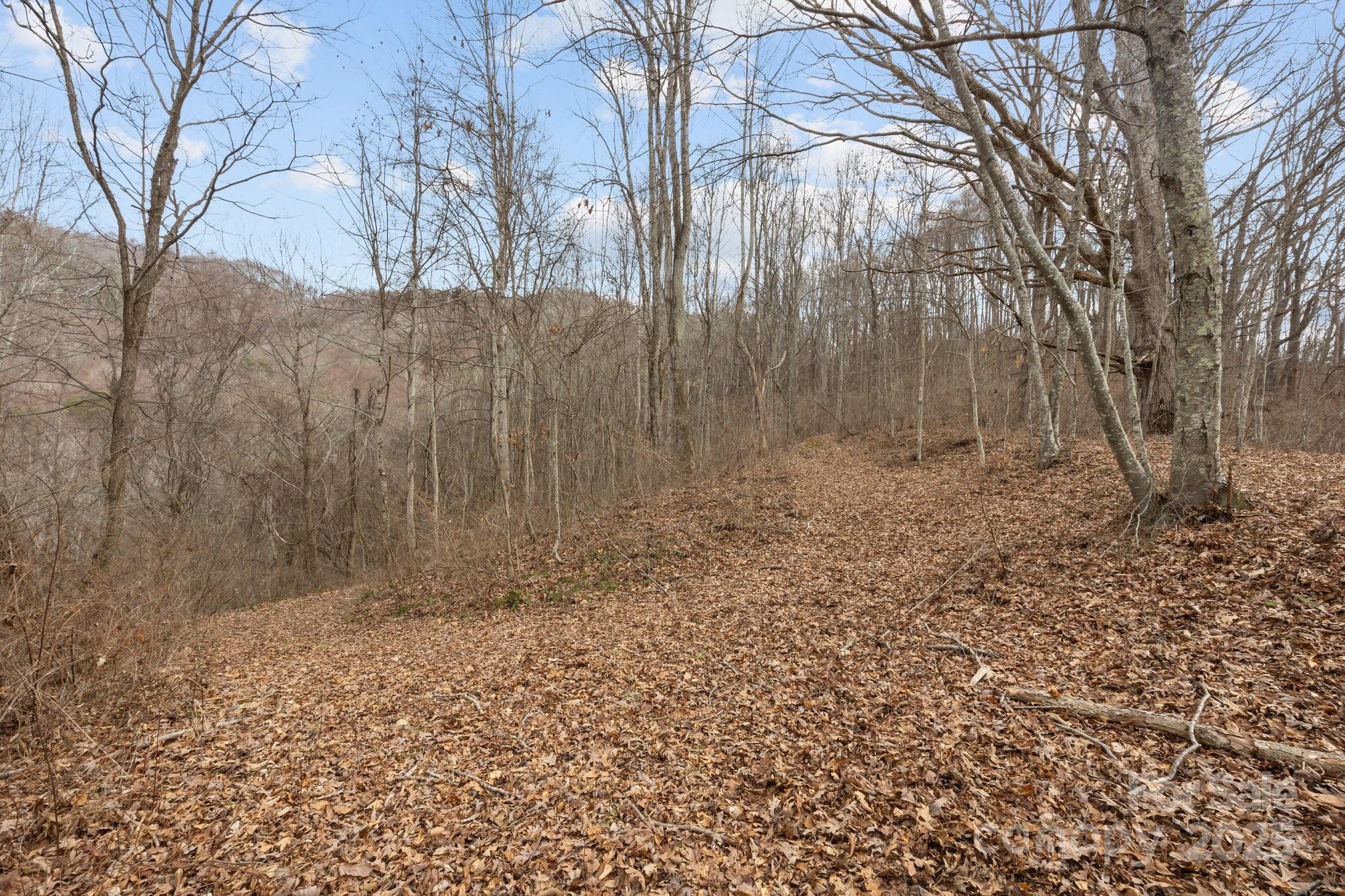 00 Haynes Cove Road Property Photo 14