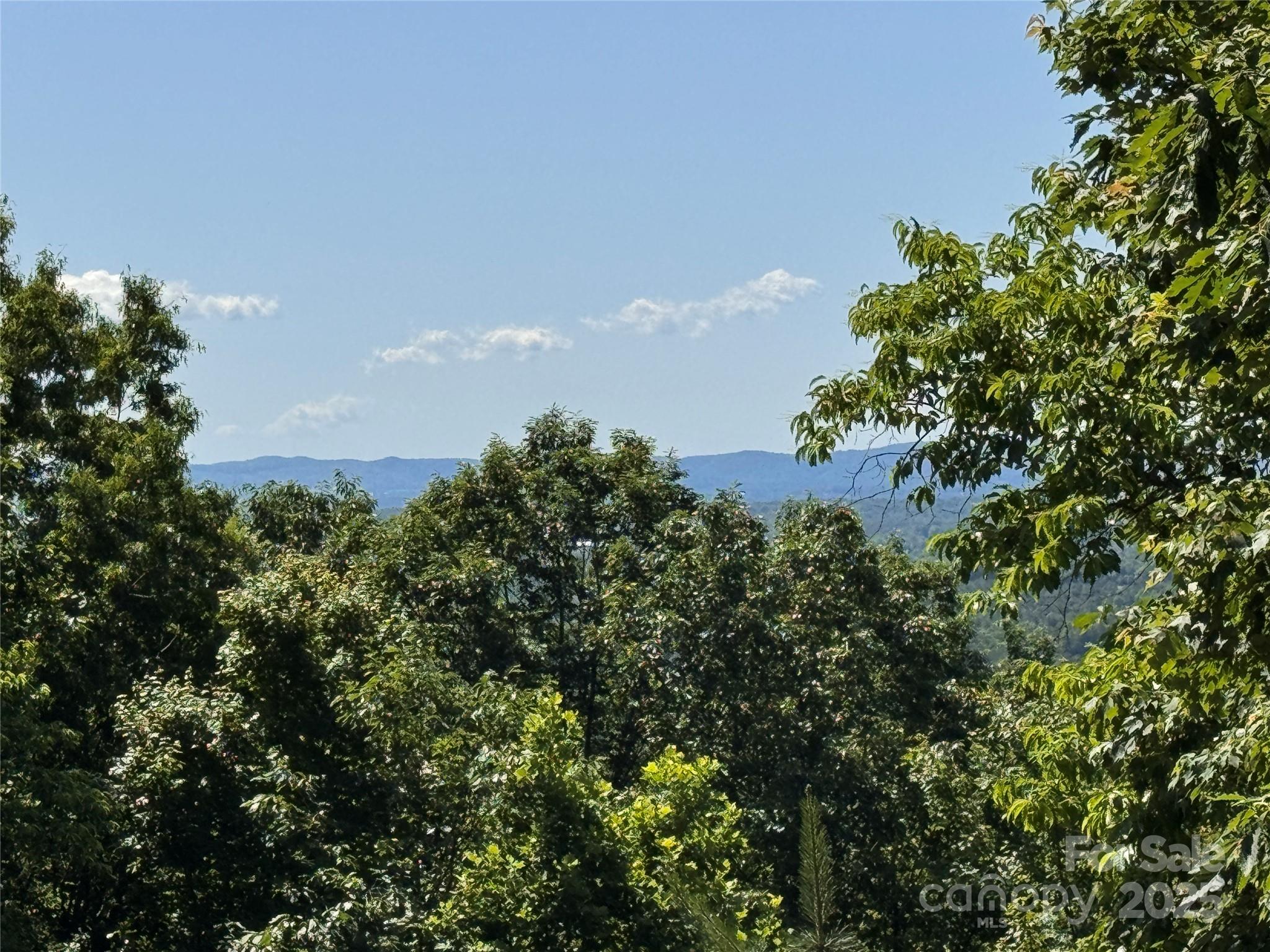 133 Steeple Chase Trail Property Photo