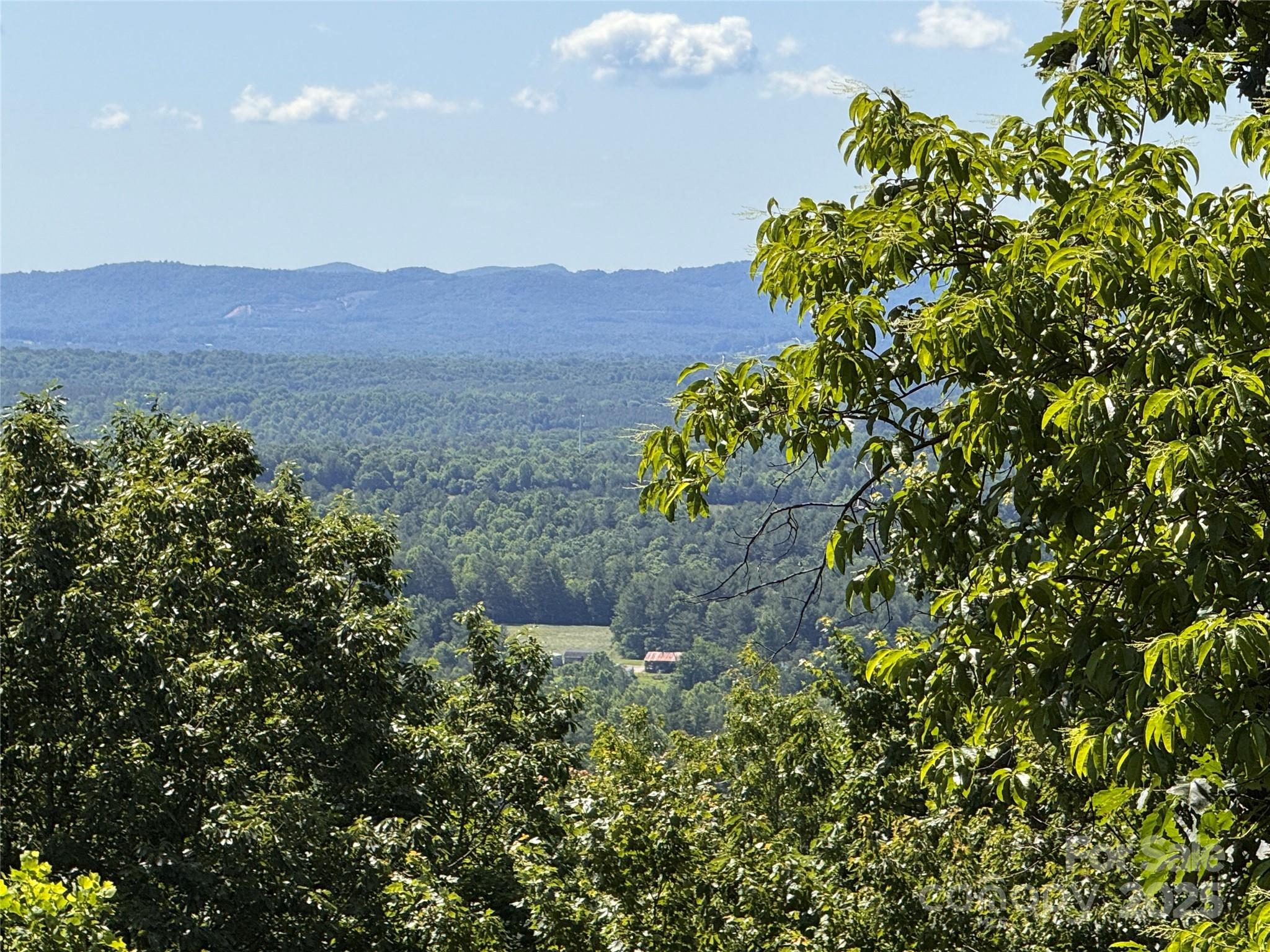 133 Steeple Chase Trail Property Photo 3