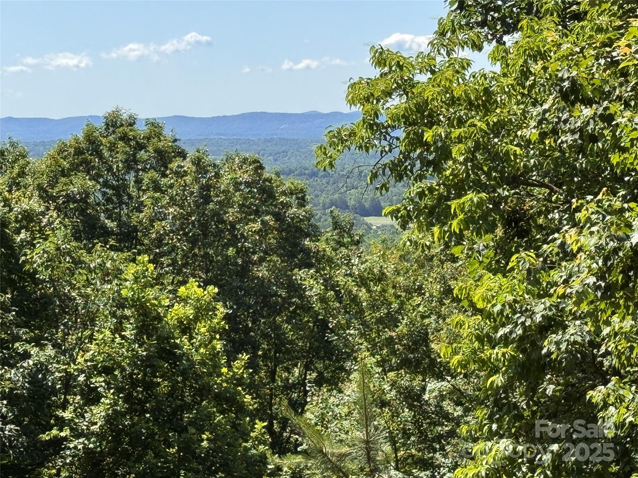 133 Steeple Chase Trail Property Photo 5