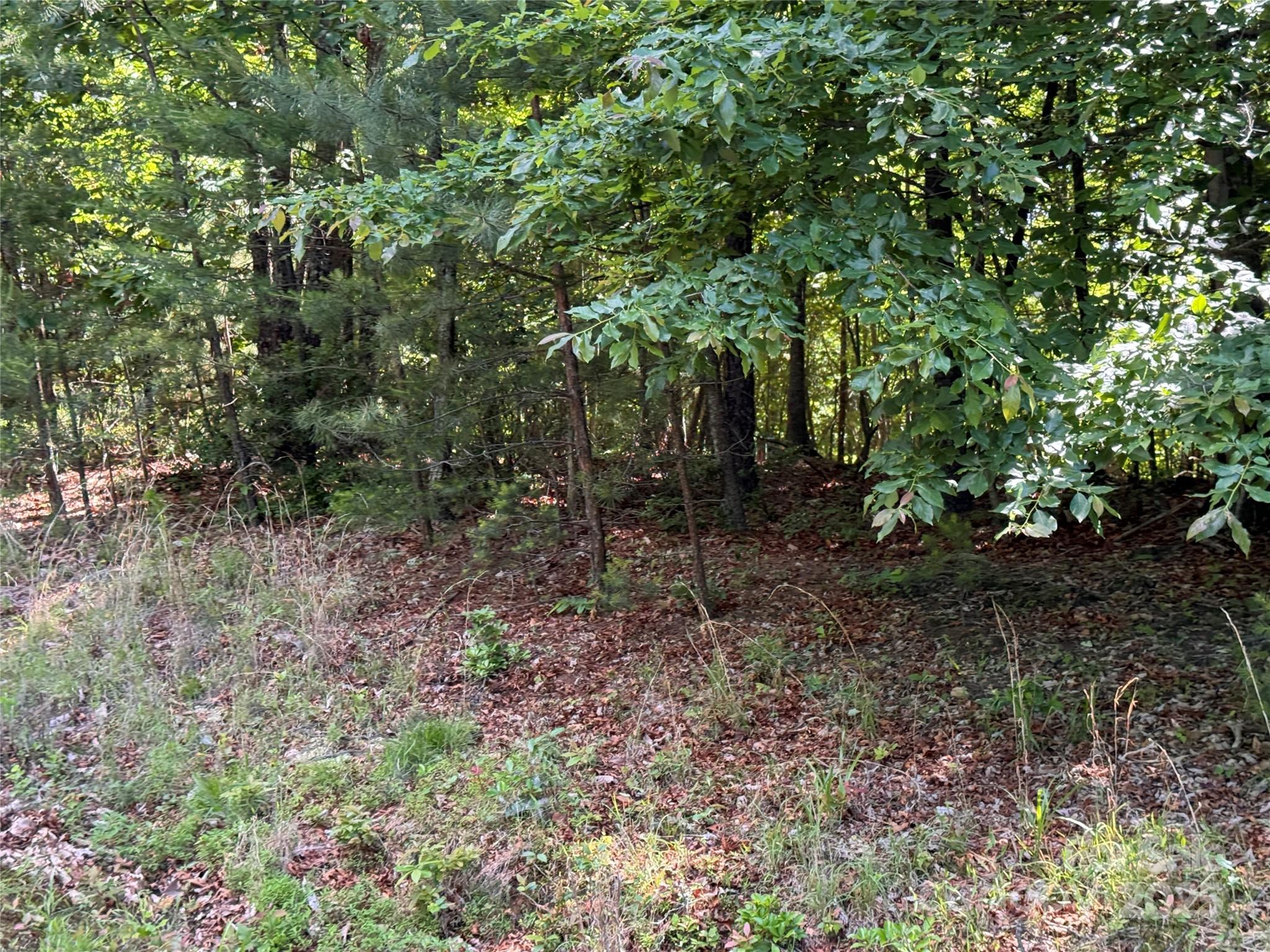 133 Steeple Chase Trail Property Photo 7