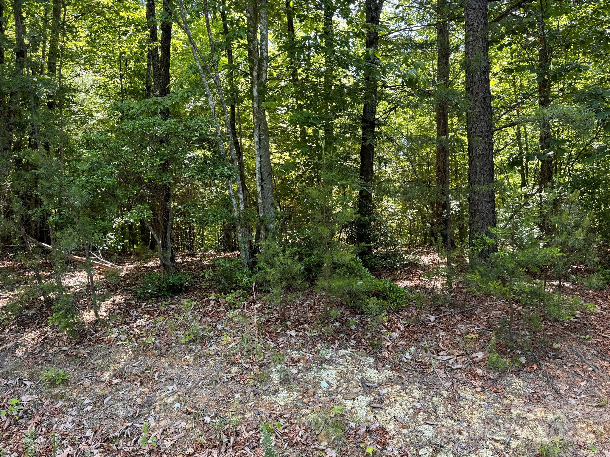 133 Steeple Chase Trail Property Photo 8