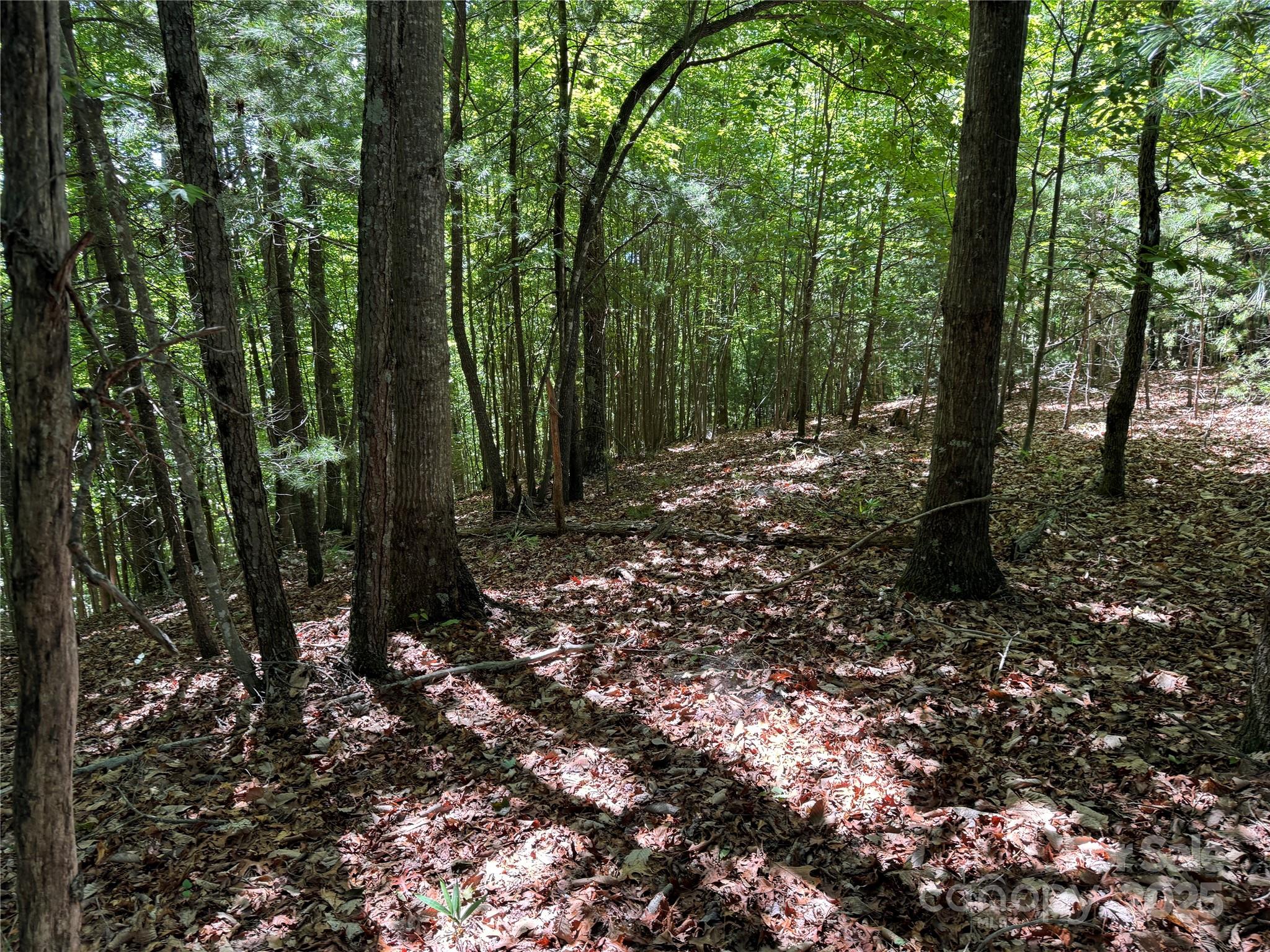 133 Steeple Chase Trail Property Photo 10