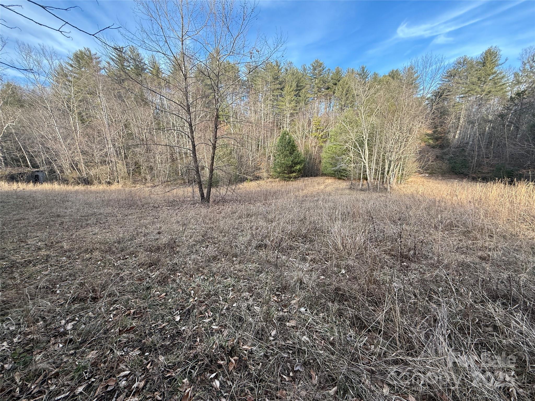 2406 Dogwood Vista Property Photo