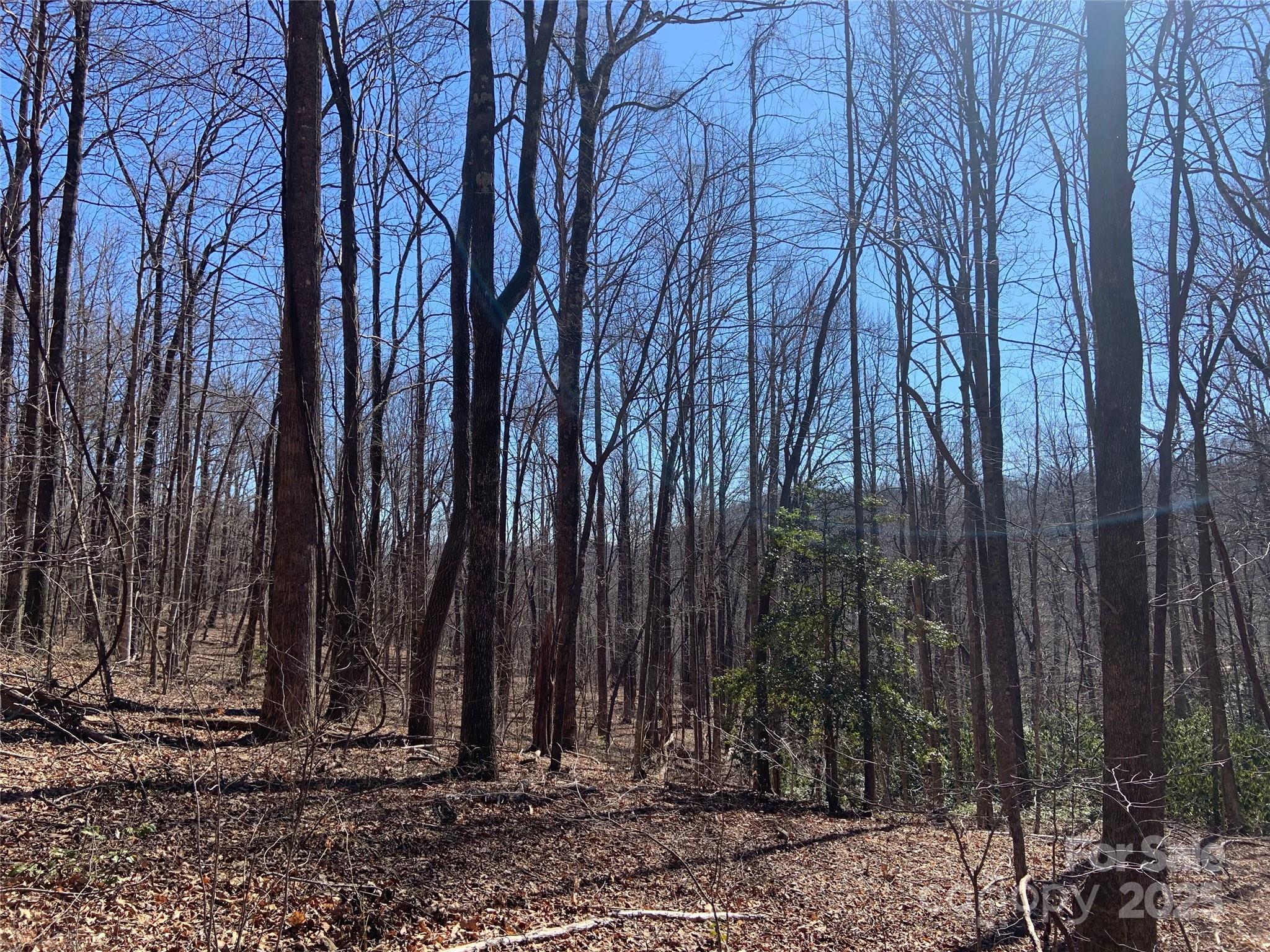 0 Glen Ridge Trail 252 Property Photo
