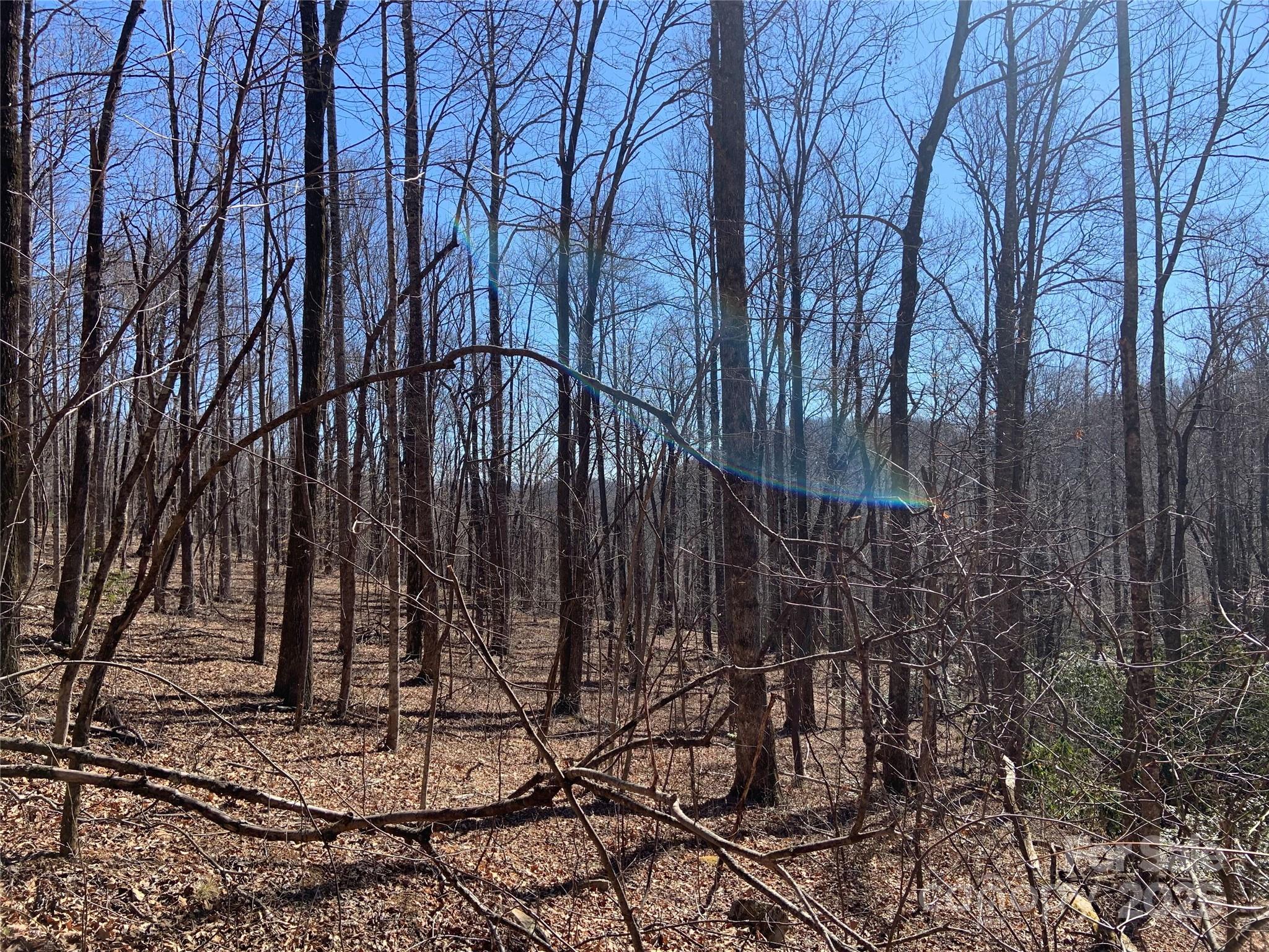 Tbd Glen Ridge Trail 252 Property Photo 1