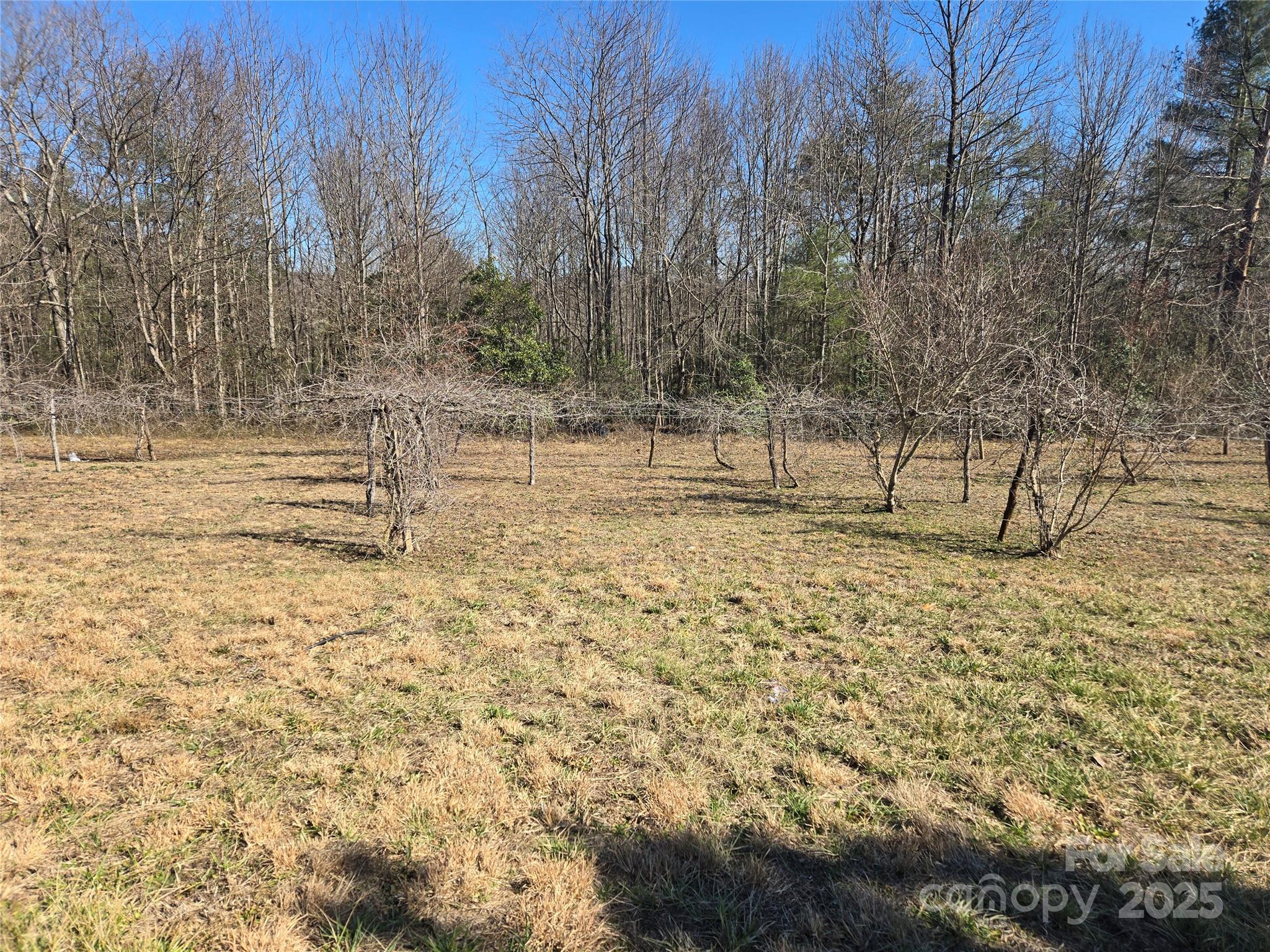580 Vineyard Drive Property Photo 9