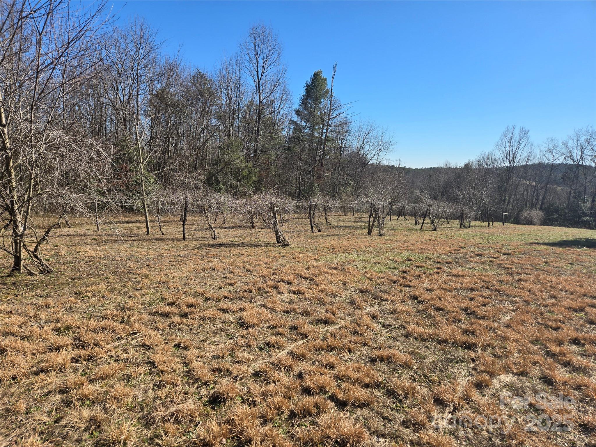 580 Vineyard Drive Property Photo 10