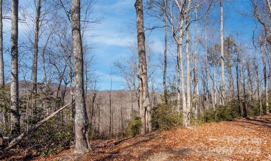35 Lower Sand Branch Road Property Photo 3