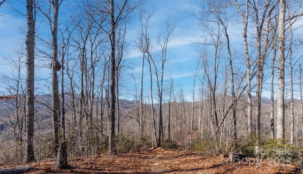 35 Lower Sand Branch Road Property Photo 4