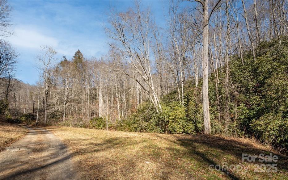 35 Lower Sand Branch Road Property Photo 16
