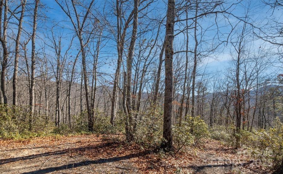 35 Lower Sand Branch Road Property Photo 19