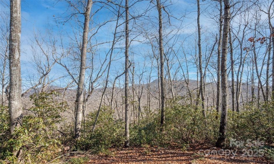 35 Lower Sand Branch Road Property Photo 20