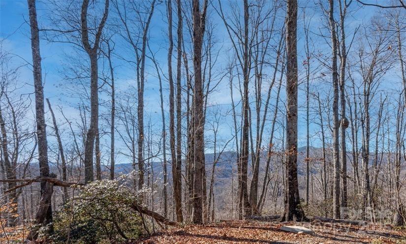 35 Lower Sand Branch Road Property Photo 26