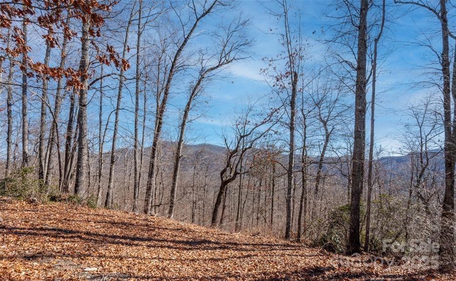 35 Lower Sand Branch Road Property Photo 28