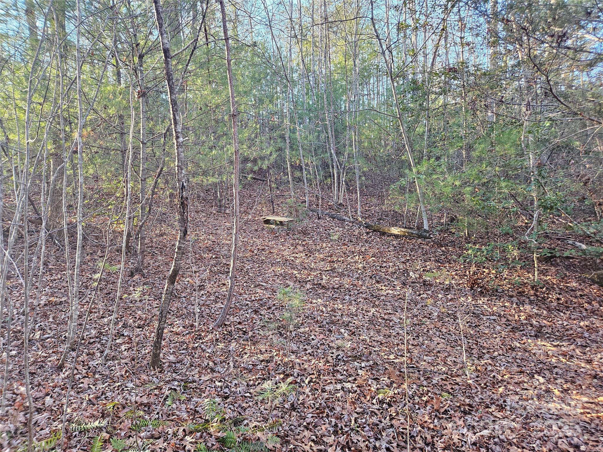 3163 Lake Drive 53 & 52 Property Photo 2