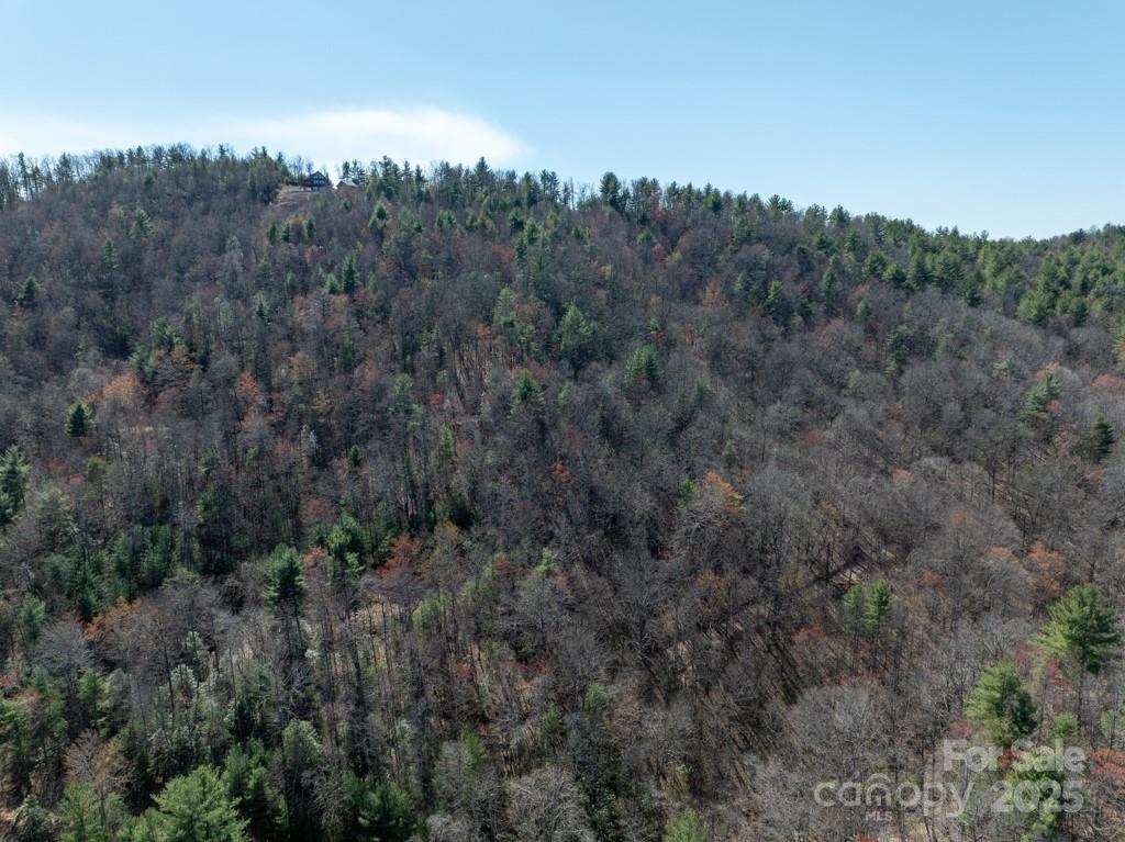 00 Staghorn Road Property Photo 4
