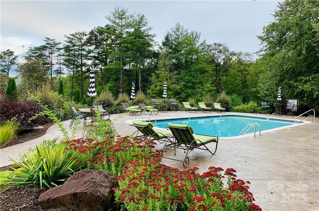 3641 French Broad Parkway 5 Property Photo 17
