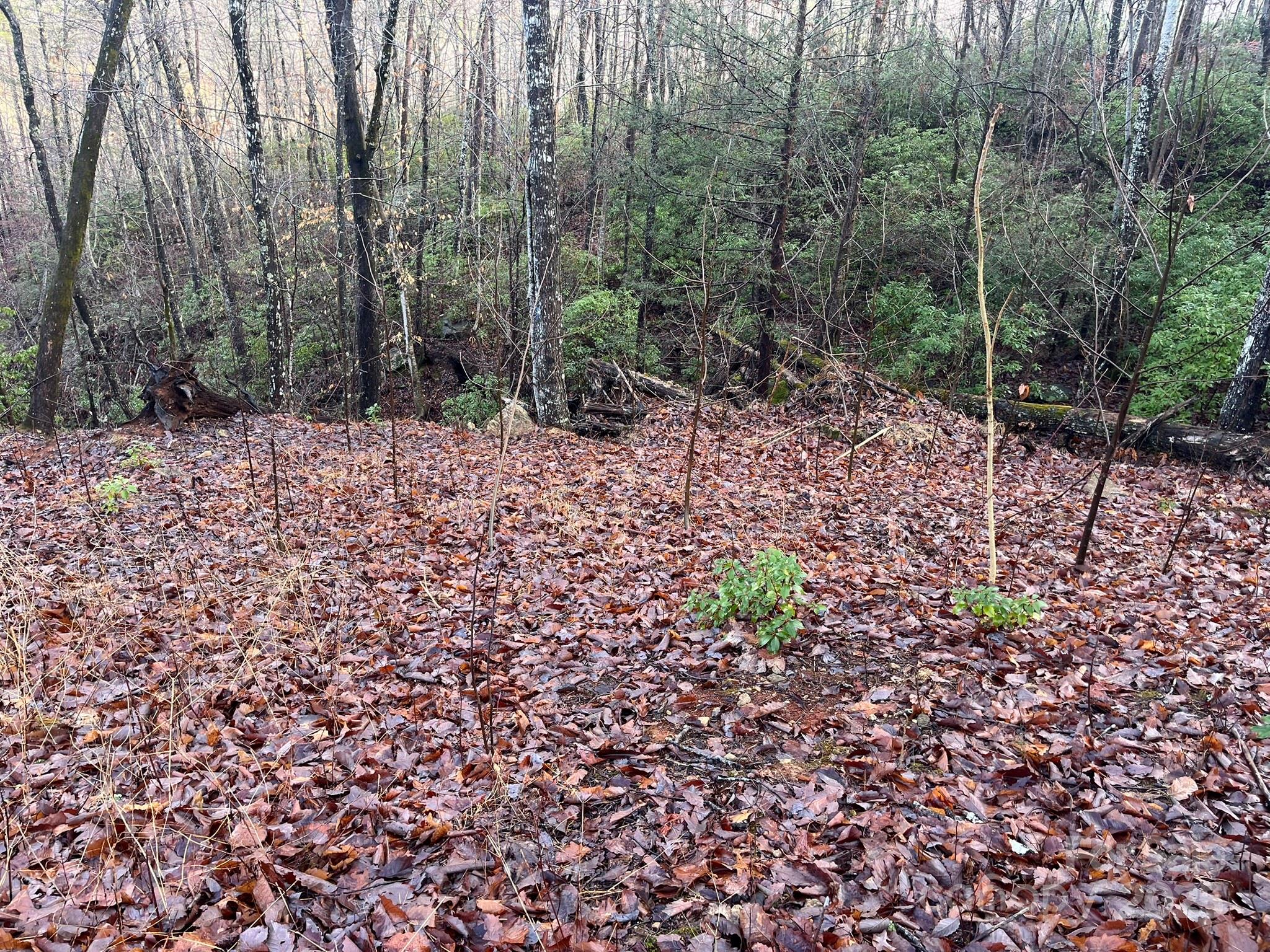00 Ridgecrest Drive Property Photo 8