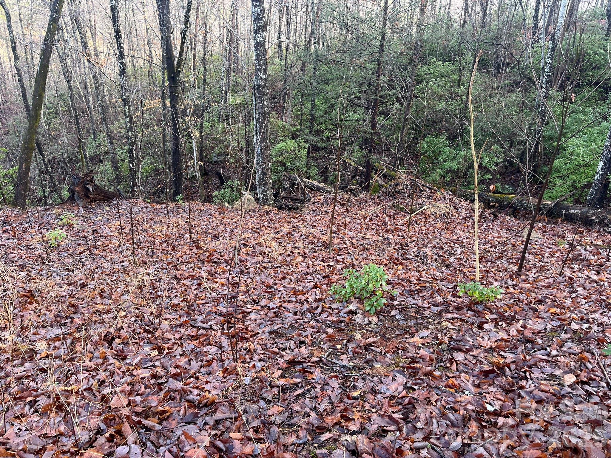 00 Ridgecrest Drive Property Photo 8