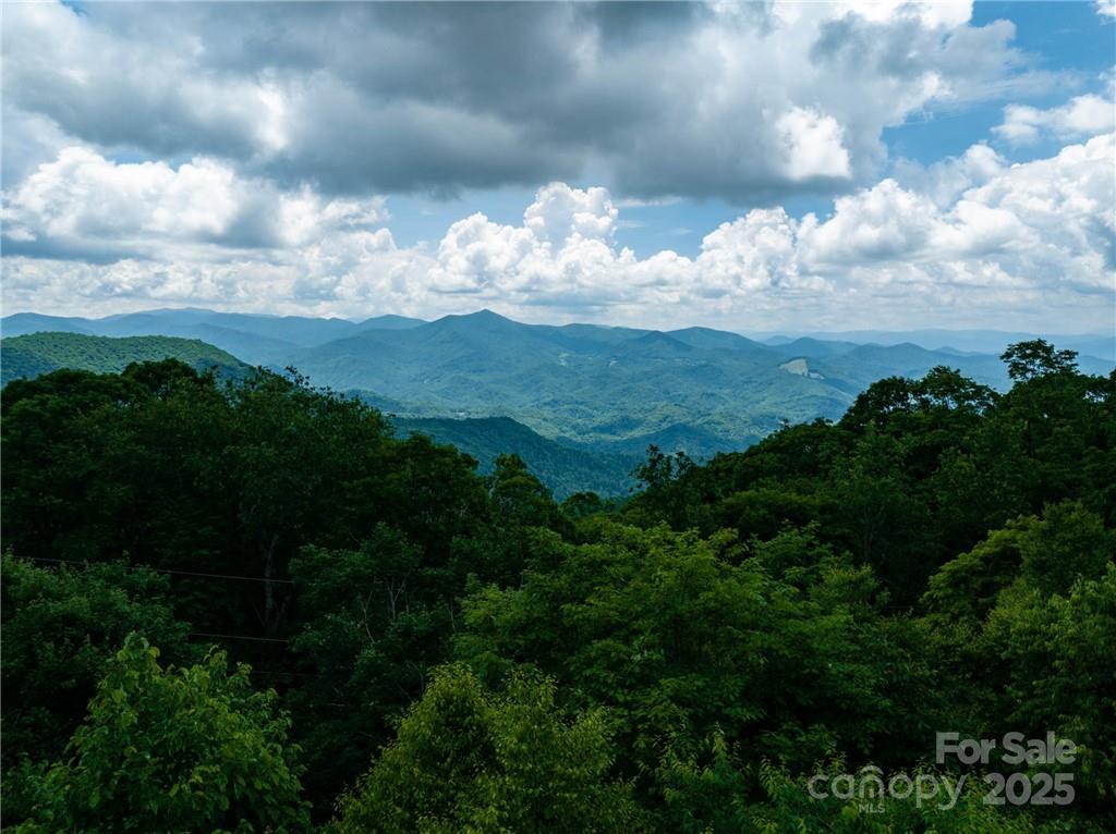 167 Bold Springs Road Property Photo 4