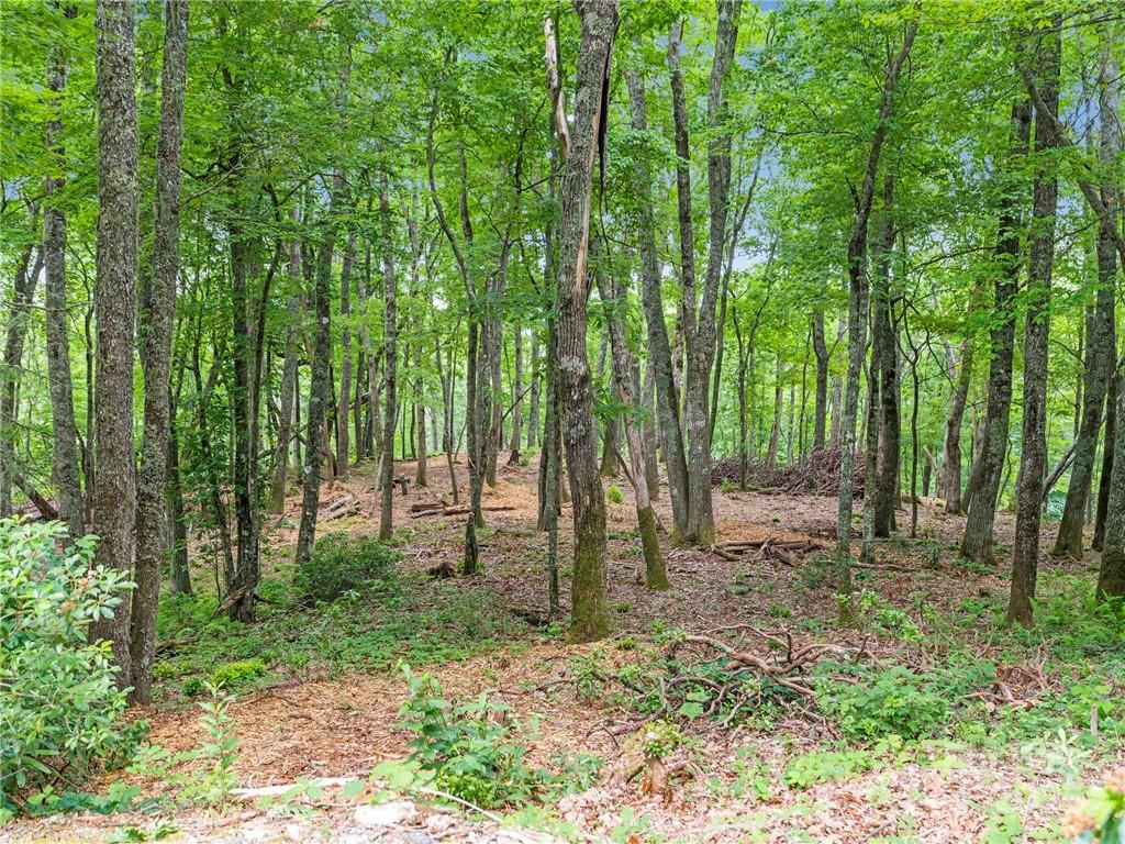 167 Bold Springs Road Property Photo 34