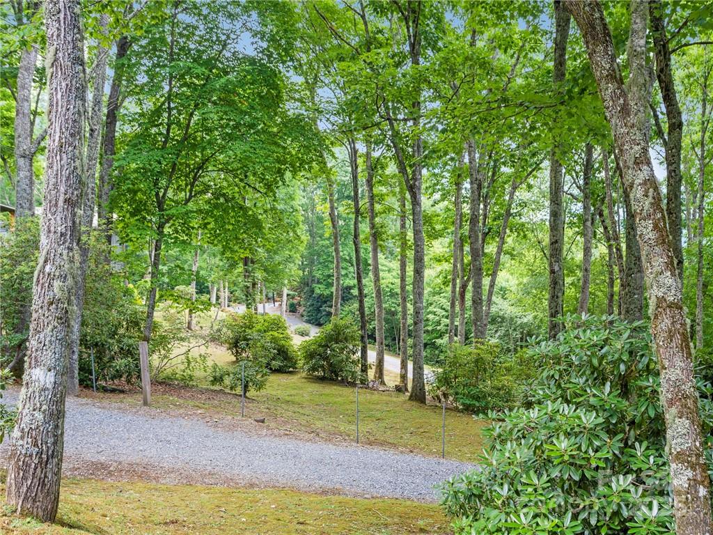 167 Bold Springs Road Property Photo 35