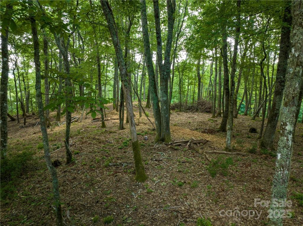 167 Bold Springs Road Property Photo 37