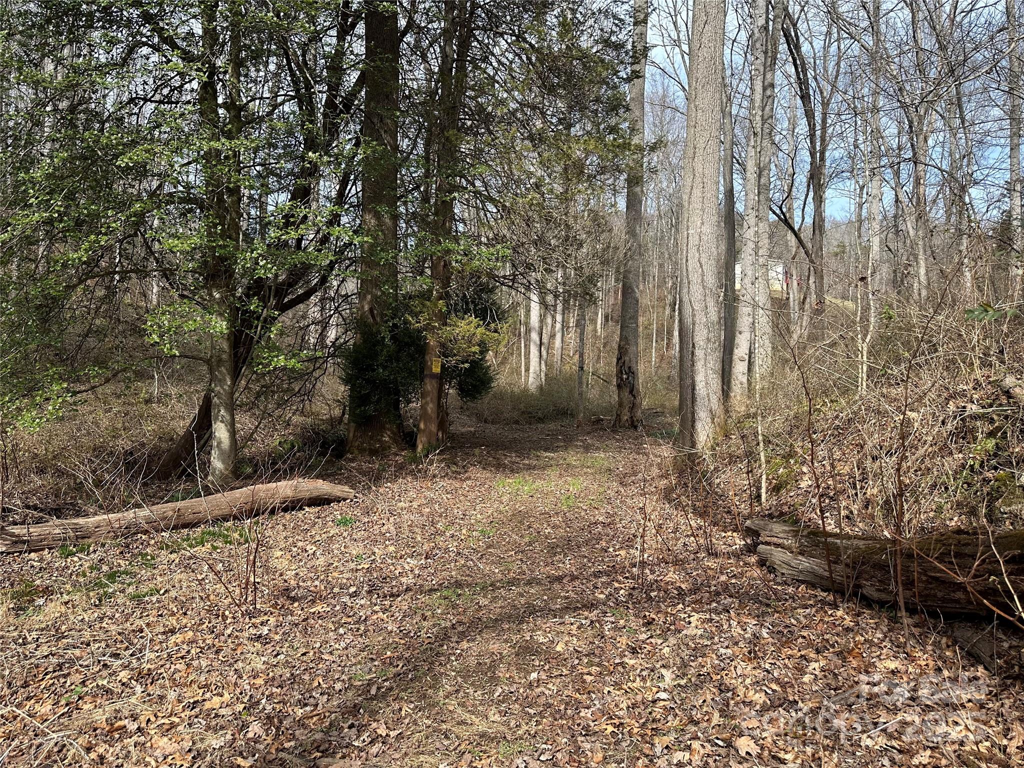 000 Big Cove Road Property Photo