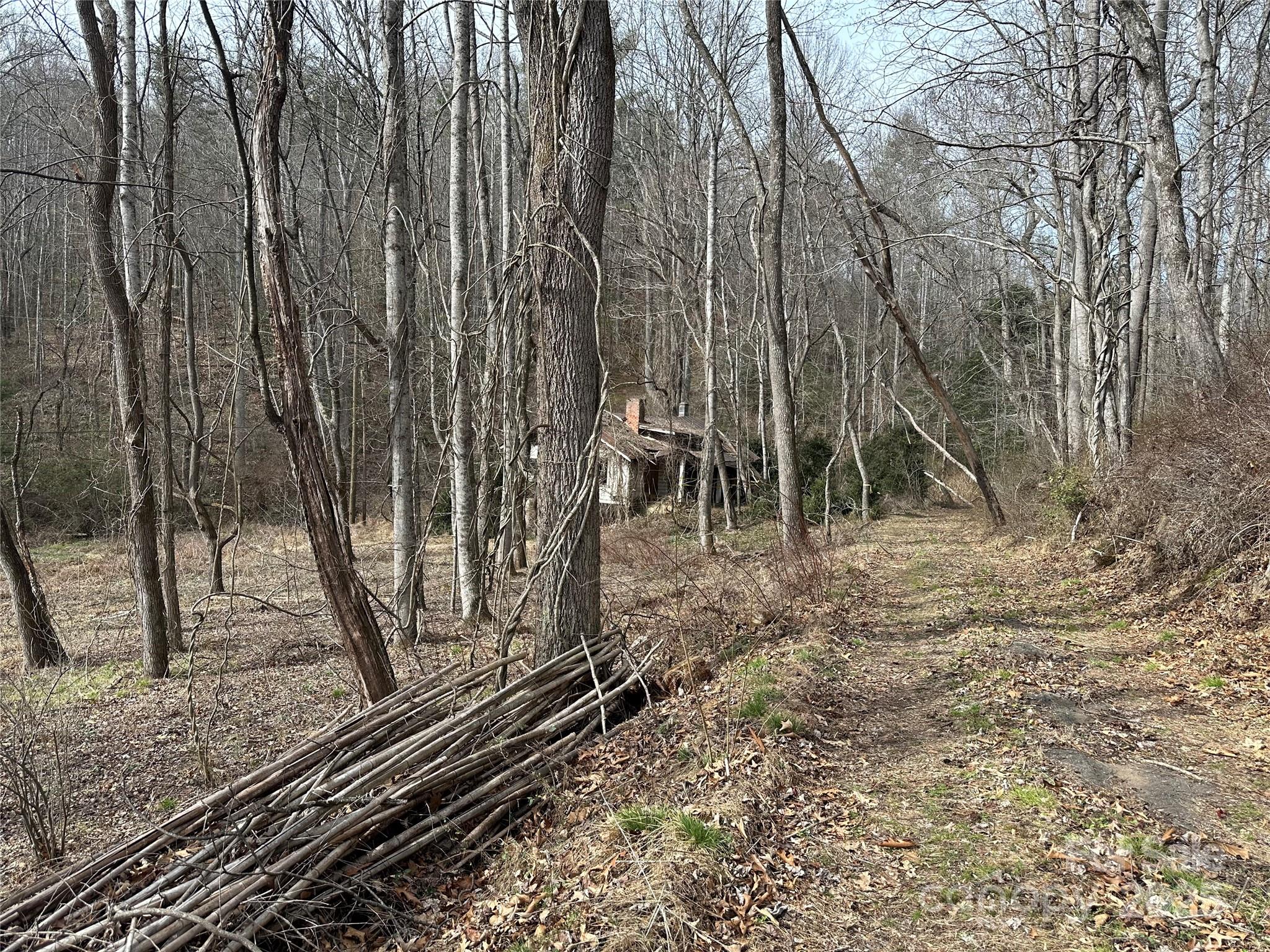 000 Big Cove Road Property Photo 2