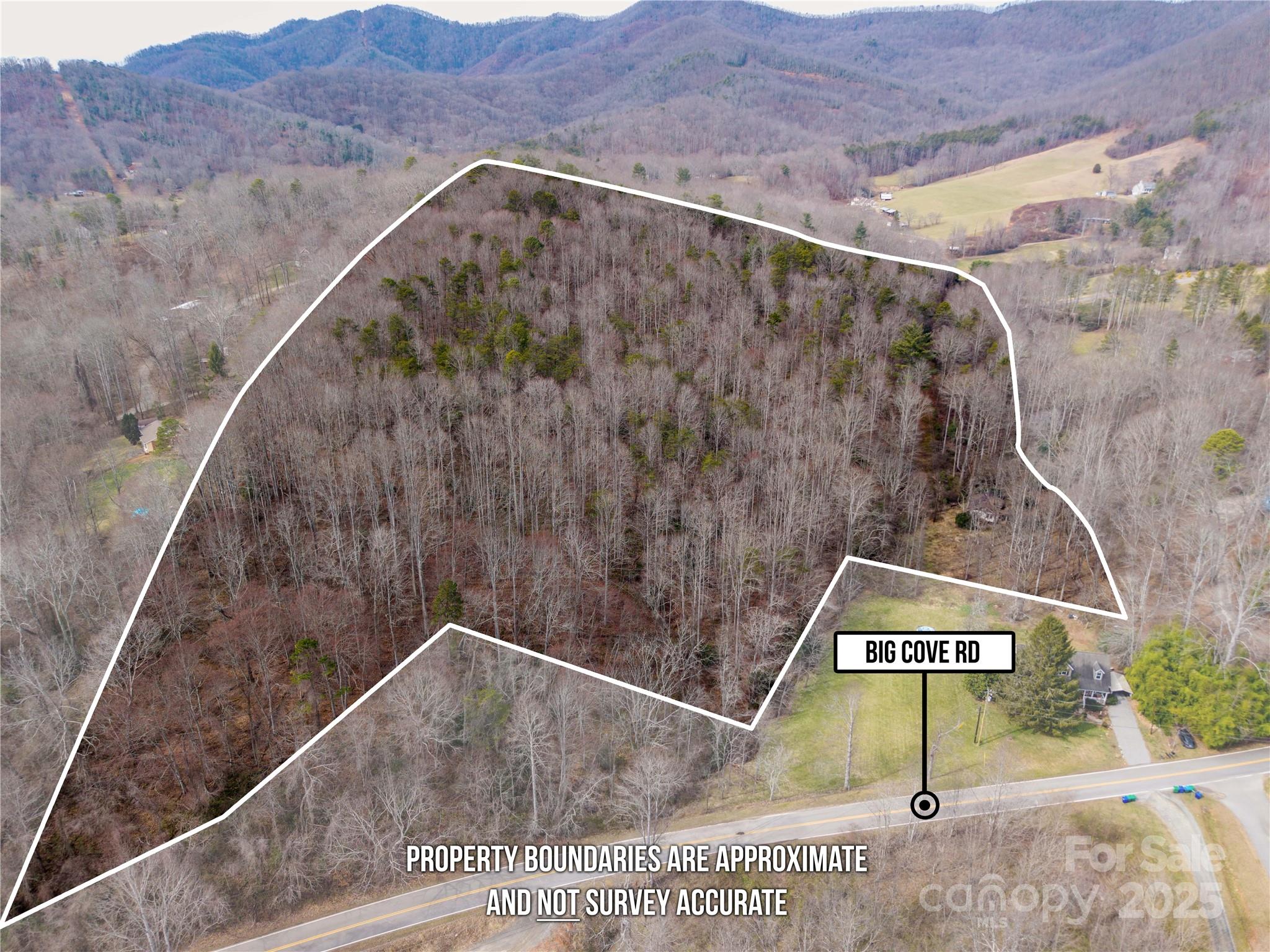000 Big Cove Road Property Photo 9