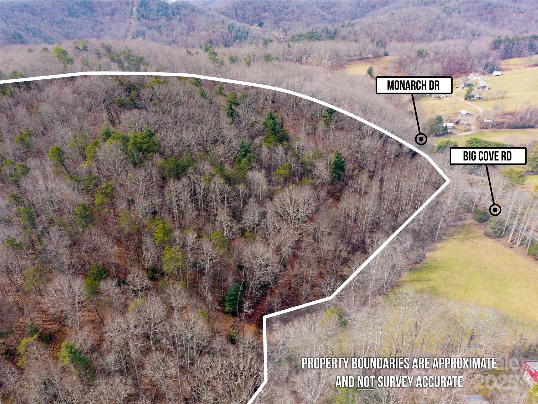 000 Big Cove Road Property Photo 11
