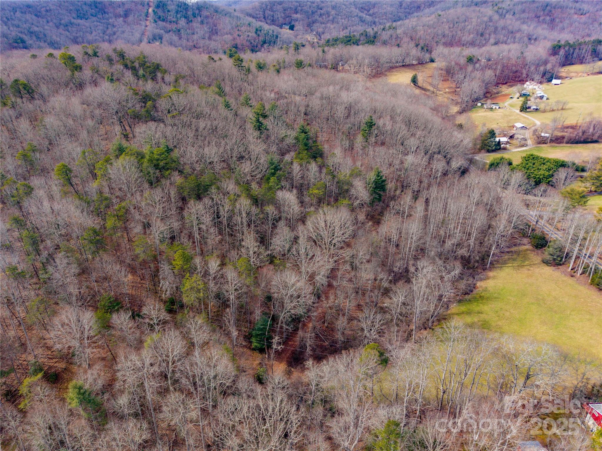 000 Big Cove Road Property Photo 12