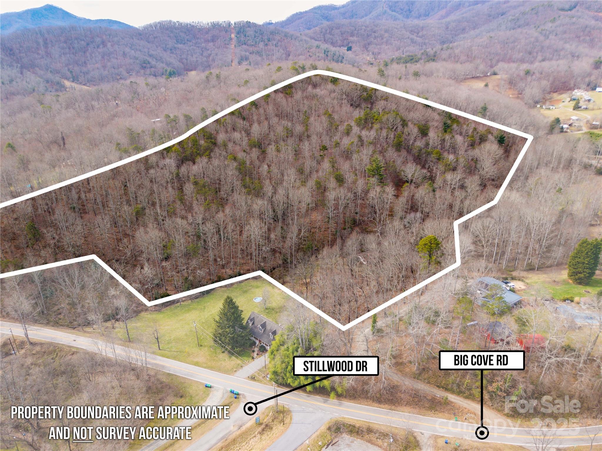 000 Big Cove Road Property Photo 17