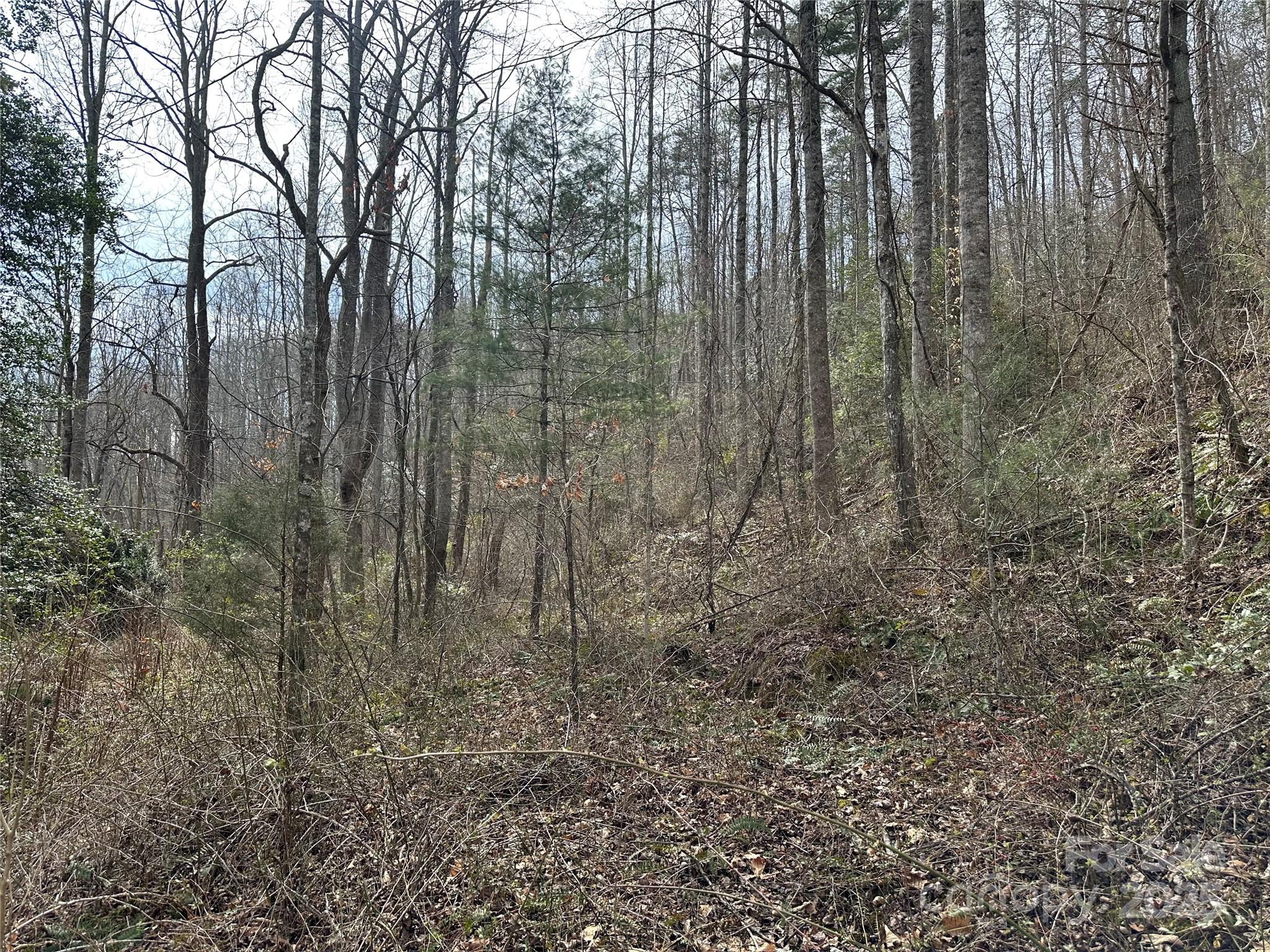 000 Big Cove Road Property Photo 23