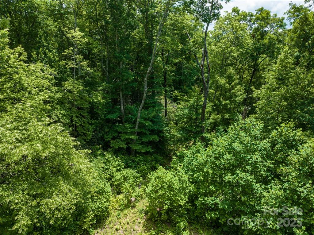 3168 Parris Branch Road 16 D,e,f Property Photo 6