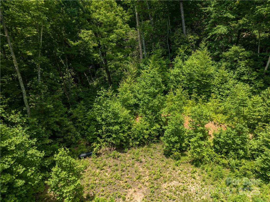 3168 Parris Branch Road 16 D,e,f Property Photo 7