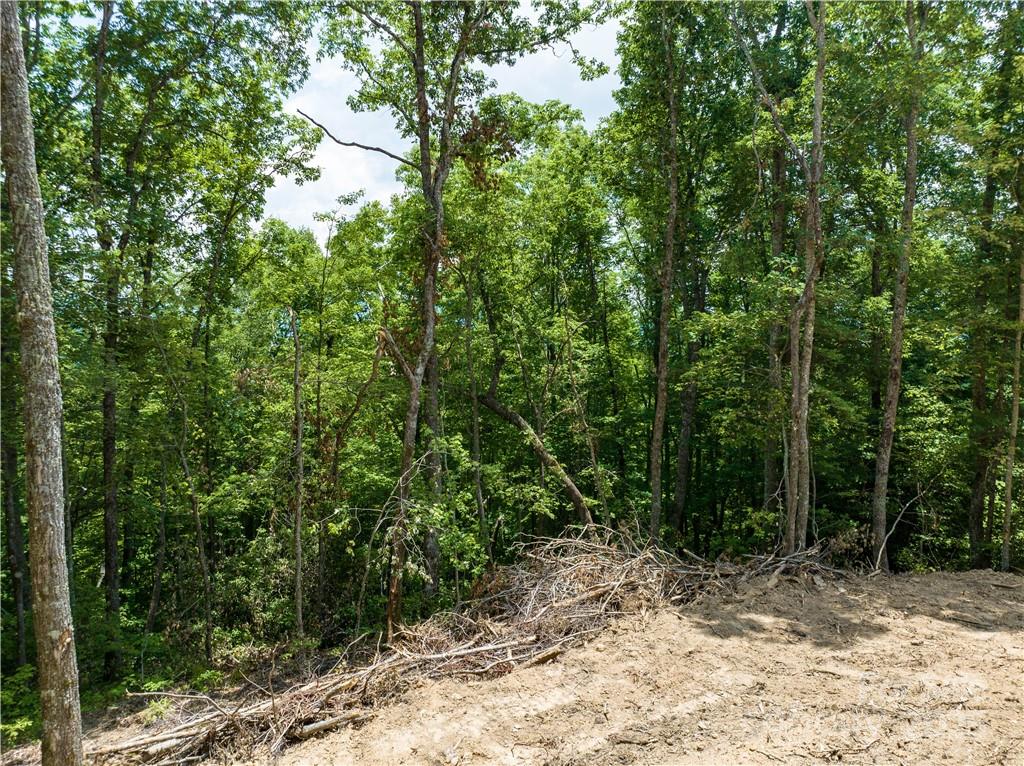 99999 Parris Branch Road 16 A,b,c Property Photo 8