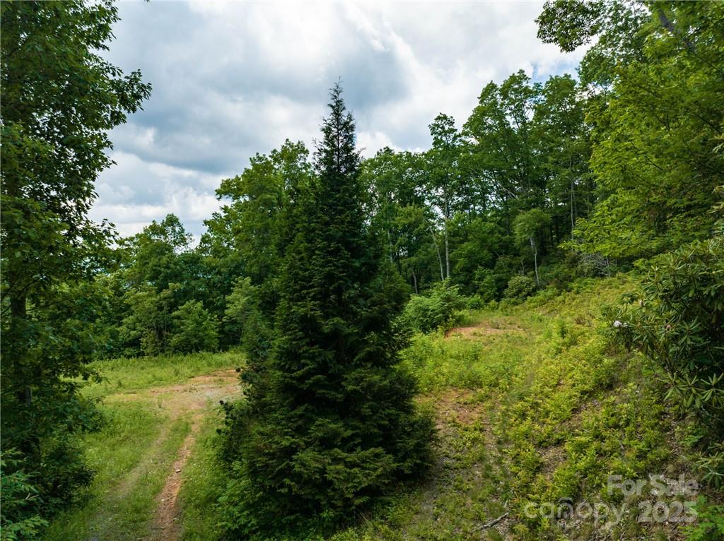 3867 Parris Branch Road Tract B Property Photo 4