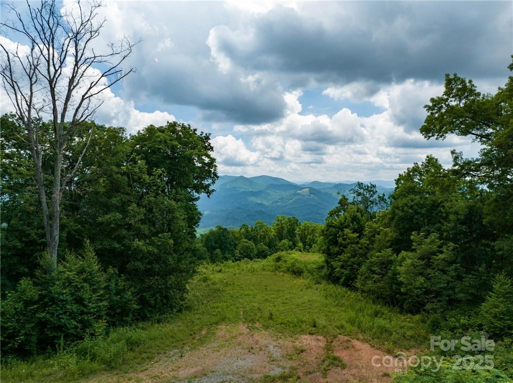 3867 Parris Branch Road Tract B Property Photo 5