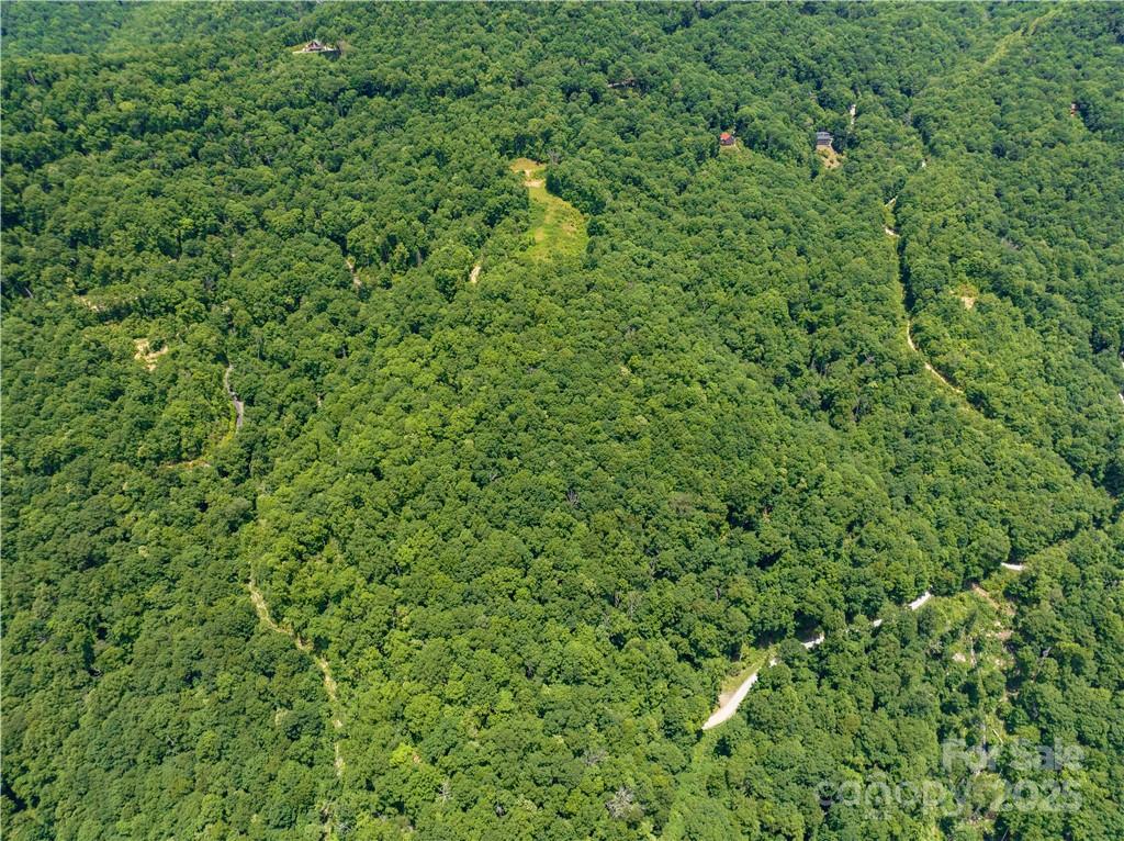 3867 Parris Branch Road Tract B Property Photo 7