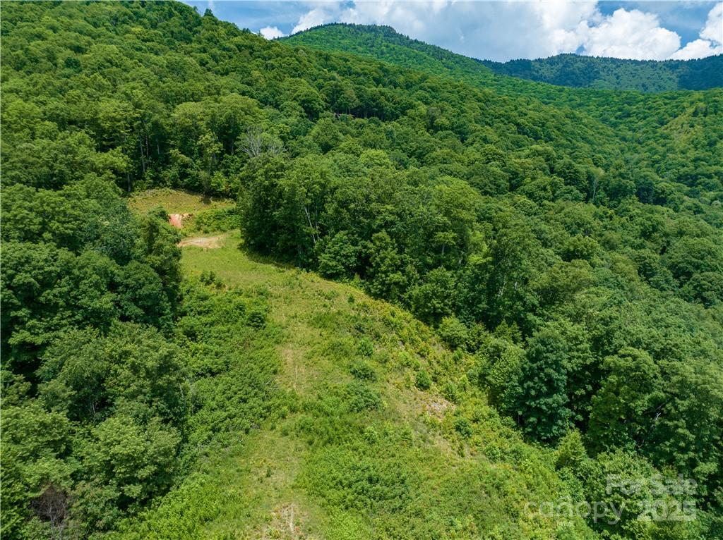 3867 Parris Branch Road Tract B Property Photo 9