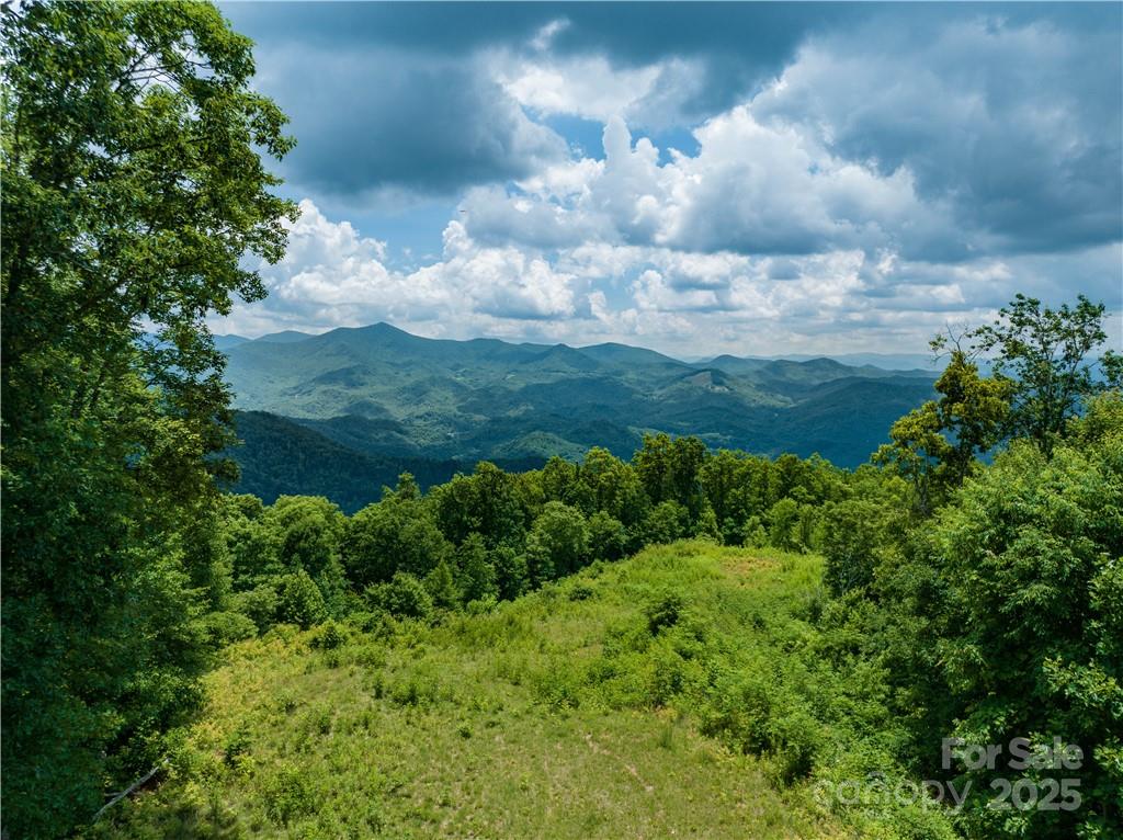 3867 Parris Branch Road Tract B Property Photo 10