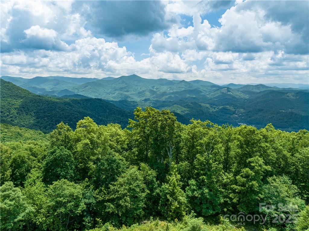 3867 Parris Branch Road Tract B Property Photo 11