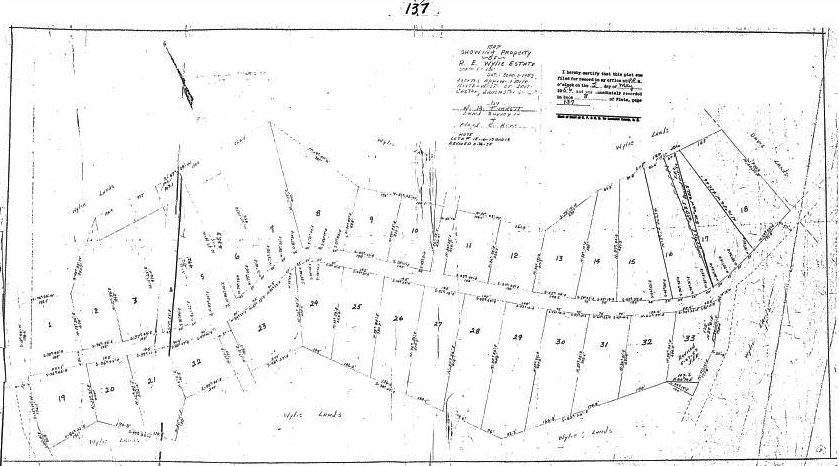 906 Forest Drive Property Photo 4
