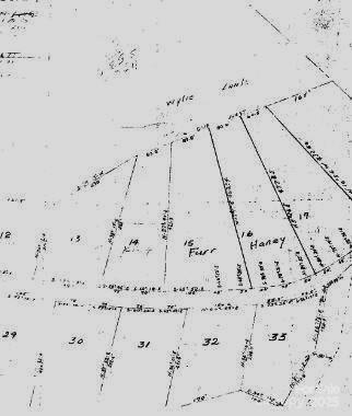 906 Forest Drive Property Photo 5