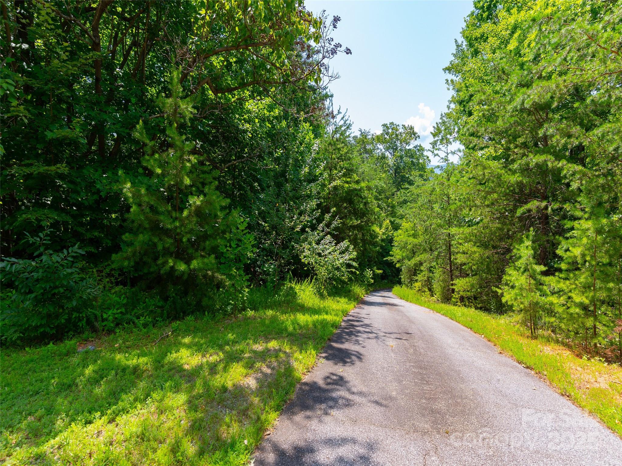 142 Elkton Court Property Photo 11